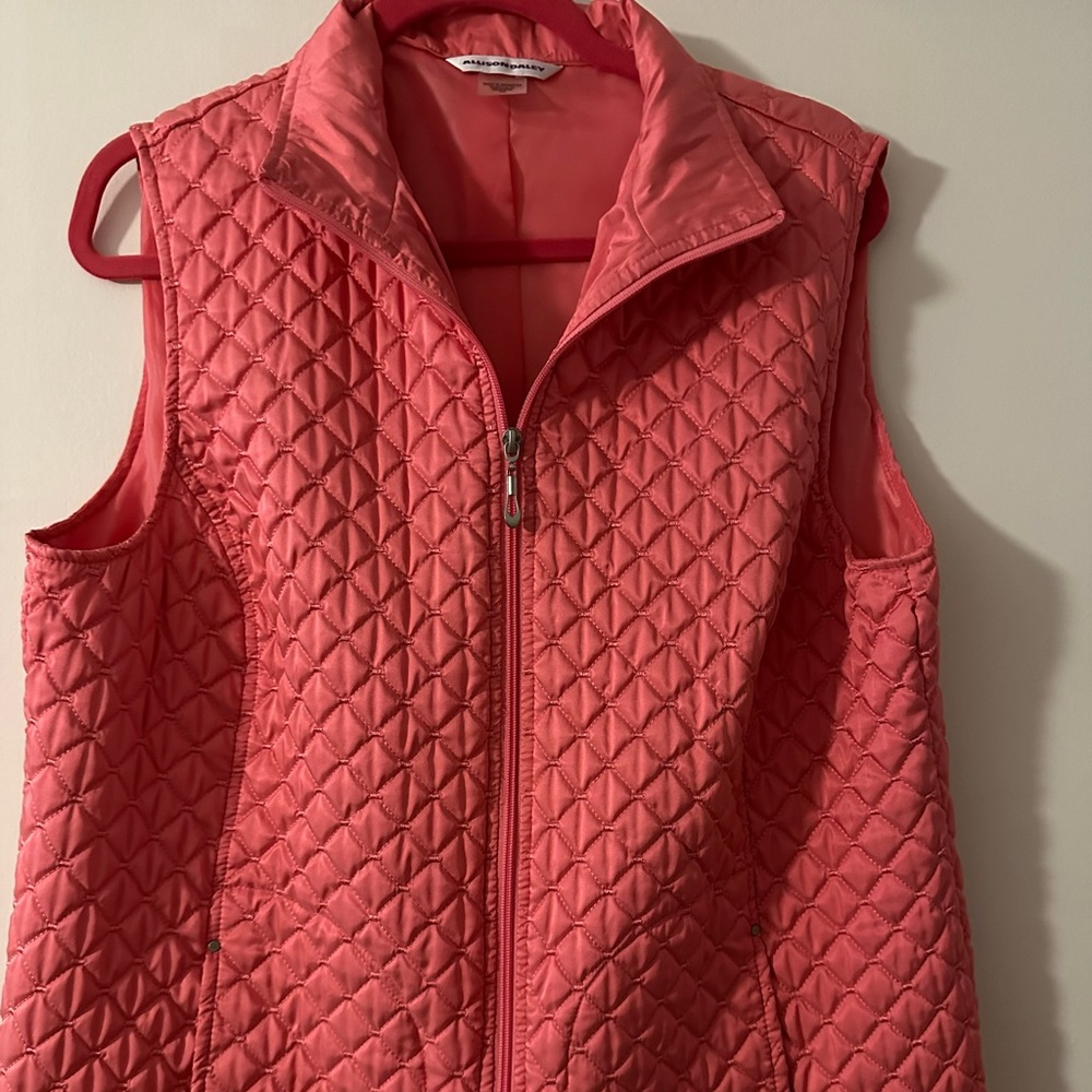Allison Daley vest